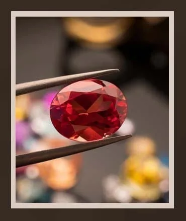 Gem Identification Programme